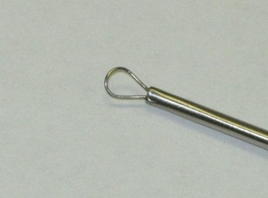 Billeau loop