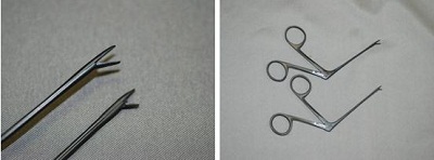 Alligator forceps and Hartman forceps