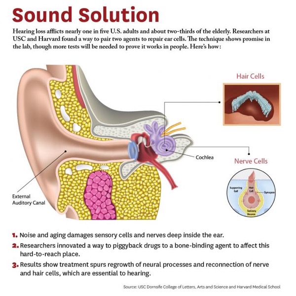 Sound Solution infographic