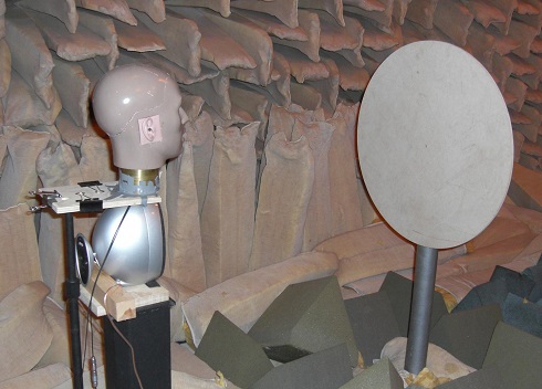 reproduction of the experiment conducted in the ISVR's anechoic chamber