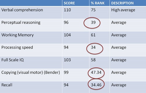Scores for Matthew&rsquo;s psychoeducational evaluation