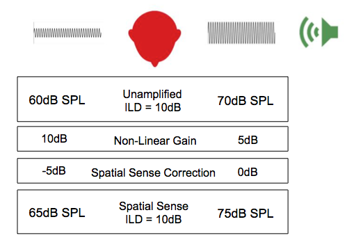 Spatial Sense mimics inhibitory function