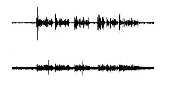 Importance of temporal nuances on cognition is shown in waveform uncompressed with defined peaks and valleys