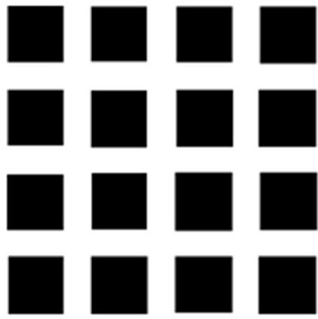 Visual illusion as a result of the inhibitory system