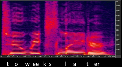 Spectrogram of the phrase two weeks later