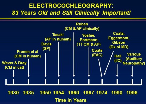 ECochG timelines