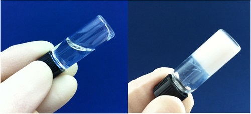 The gel conforms to irregular three-dimensional spaces and provides a platform for functional and aesthetic tissue regeneration