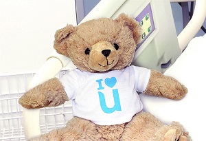 teddy bear 