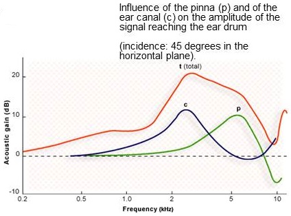 Combined transfer function of canal and pinnae resonances