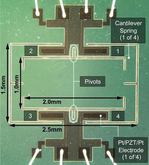 photograph of the biologically-inspired microphone taken under a microscope