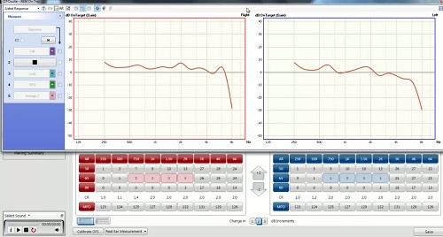 Screenshot of video showing the OnTarget tool