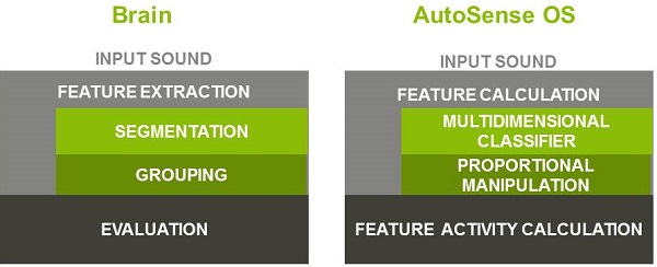 Auditory and acoustic scene analysis comparison of the brain and AutoSense OS