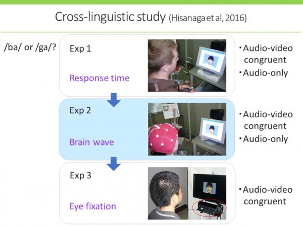 Kumamoto University researchers assessed the McGurk effect between native English and Japanese speakers and found a major difference