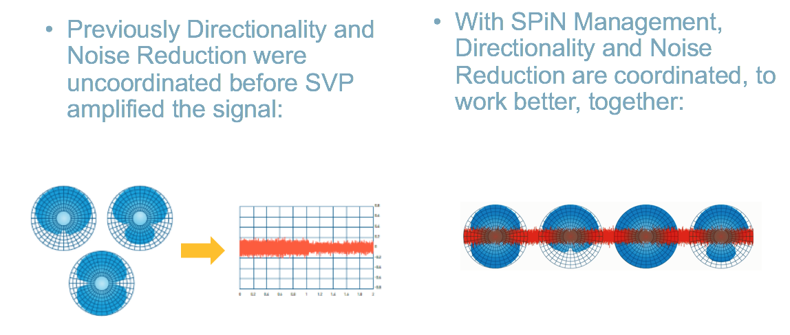 SPiN Management