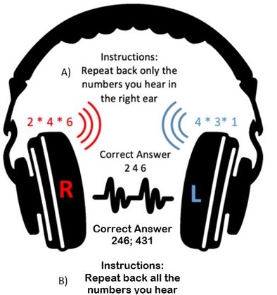 example of dichotic digit stimuli presentation