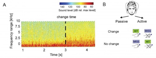 We presented natural textures which change their statistics at random times to a variable degree
