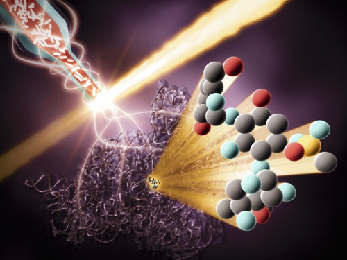 crystallized ribosomes travel through a capillary into the interaction region