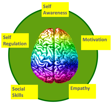 Emotional intelligence