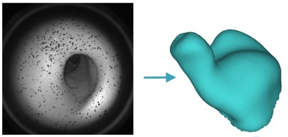A collection of images like the one on the left are converted from 2D to 3D and stitched together into the complete scan