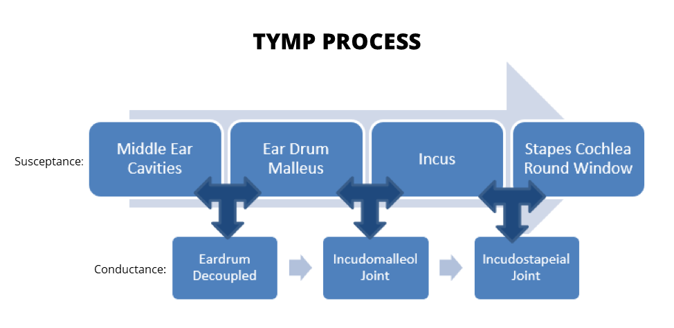 TYMP process infographic
