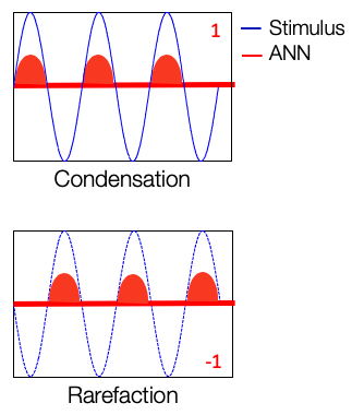Auditory Nerve Neurophonic