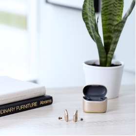 Potted plant with hearing aid