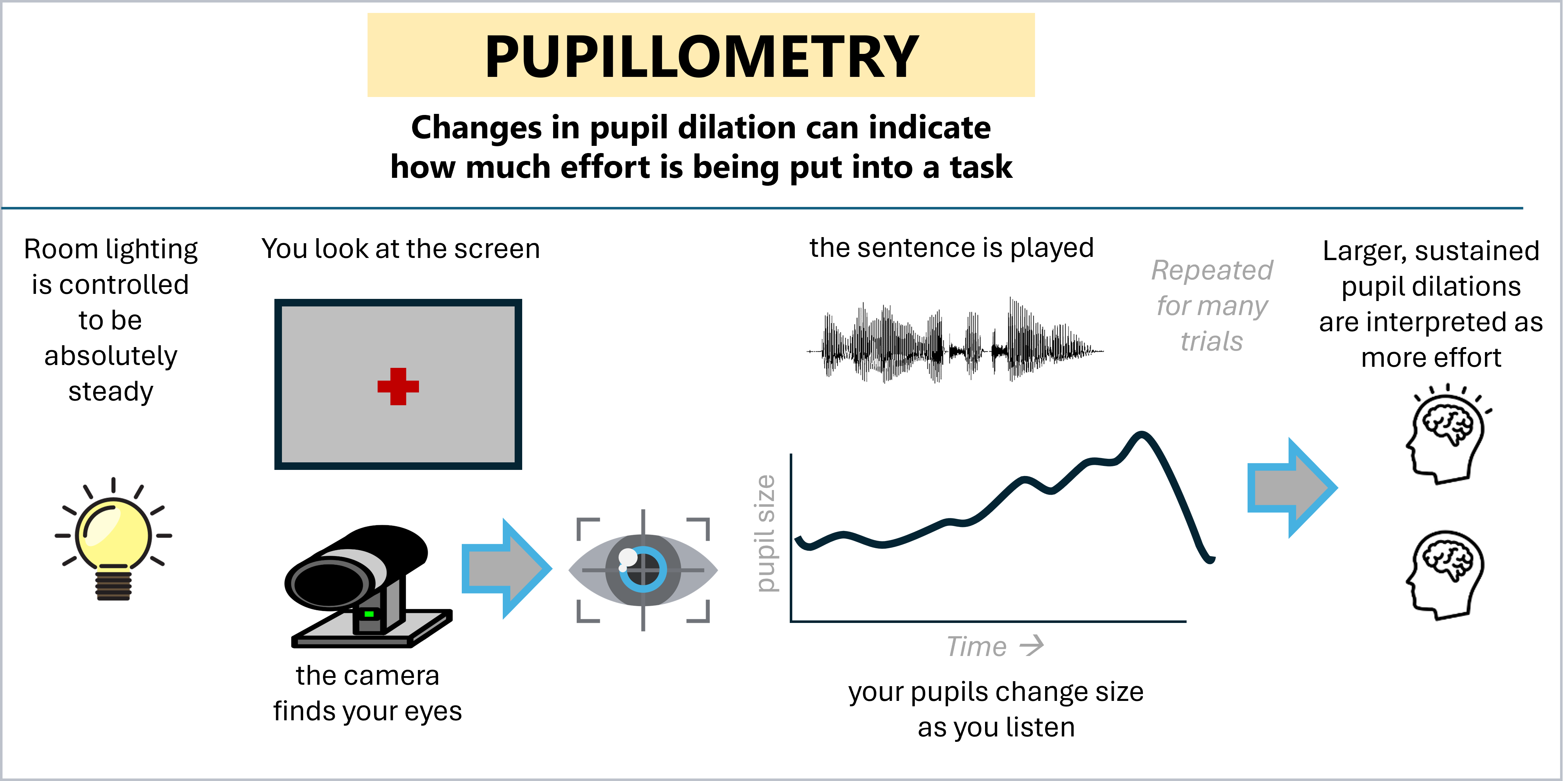 Figure 2 29239