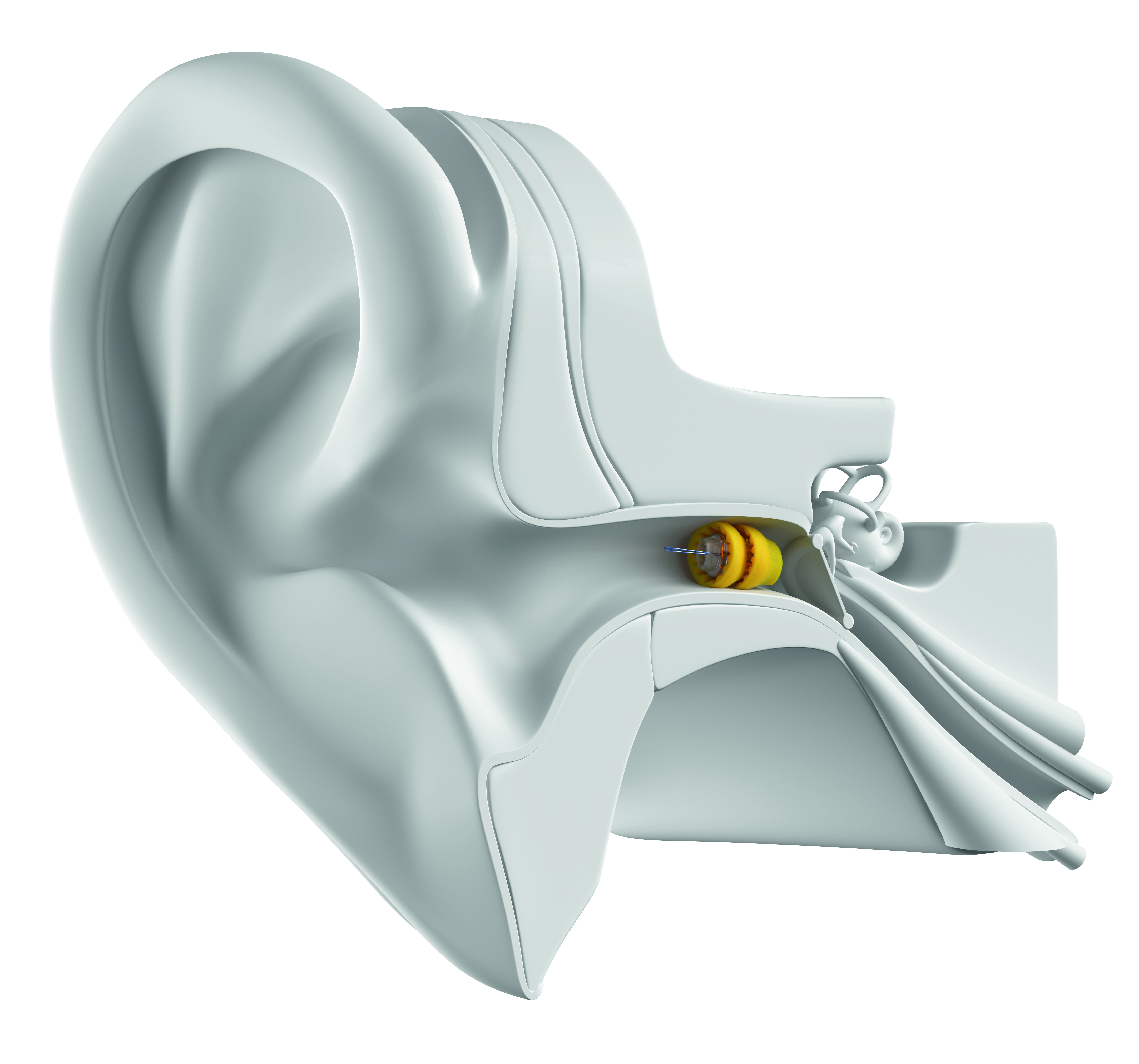 Lyric in ear