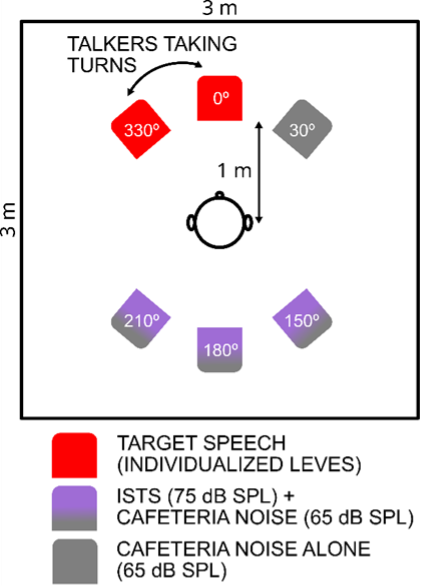 A schematic of the test set-up for MMN study.