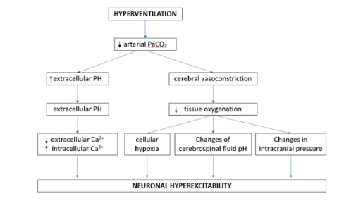 Pathophysiological basis of the HVT 