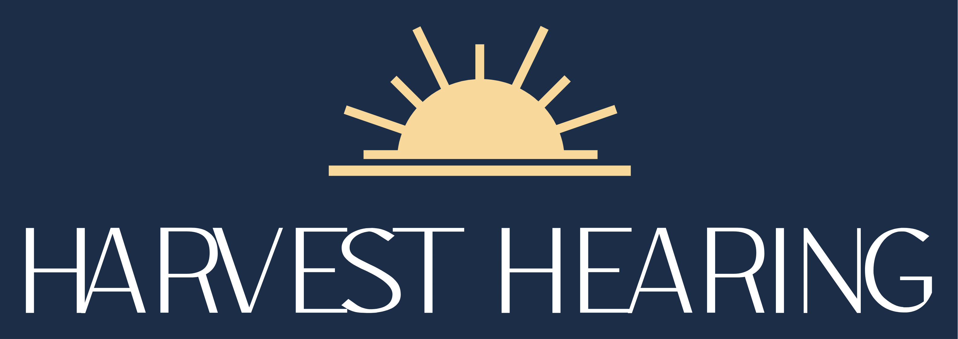 Audiologist or 4th Year Extern