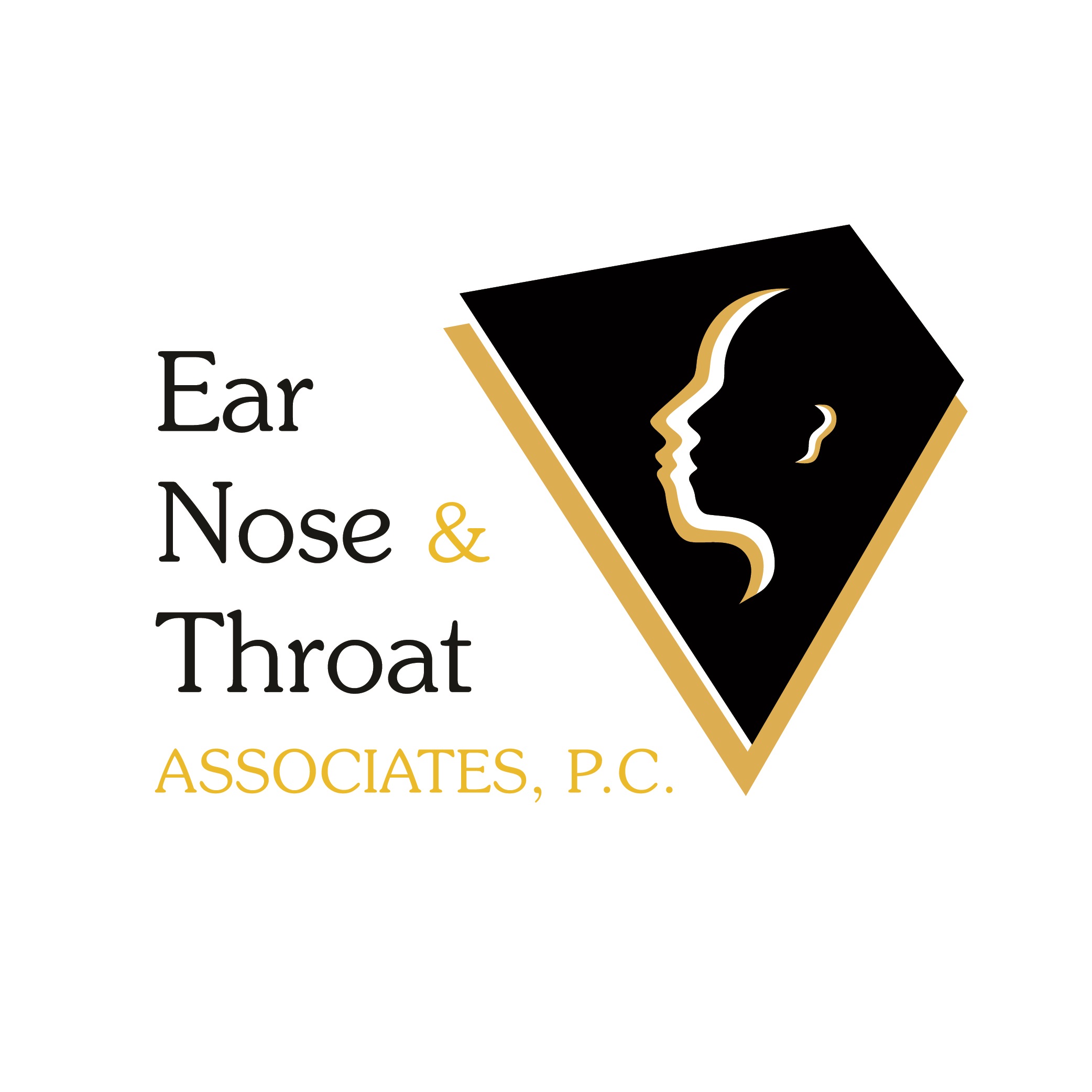 Private Practice Audiologist (FT or PT)
