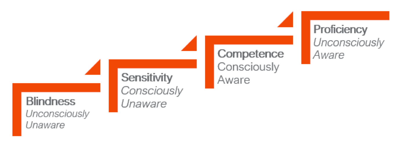 Blindness sensitivity competence and proficiency are illustrated as the stages of cultural awareness