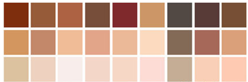 A variety of skin tone colors squares aligned in three rows of nine colors