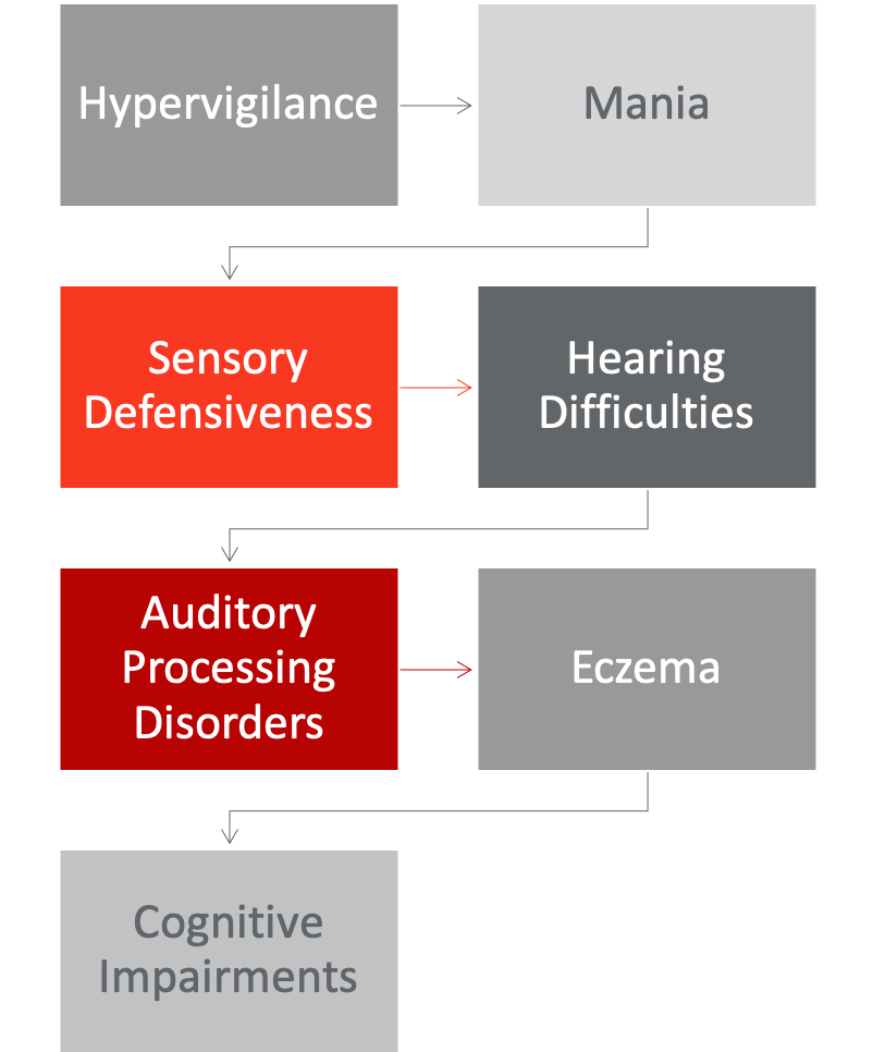 Chart illustrating additional diagnosis easily mistaken as ADHD