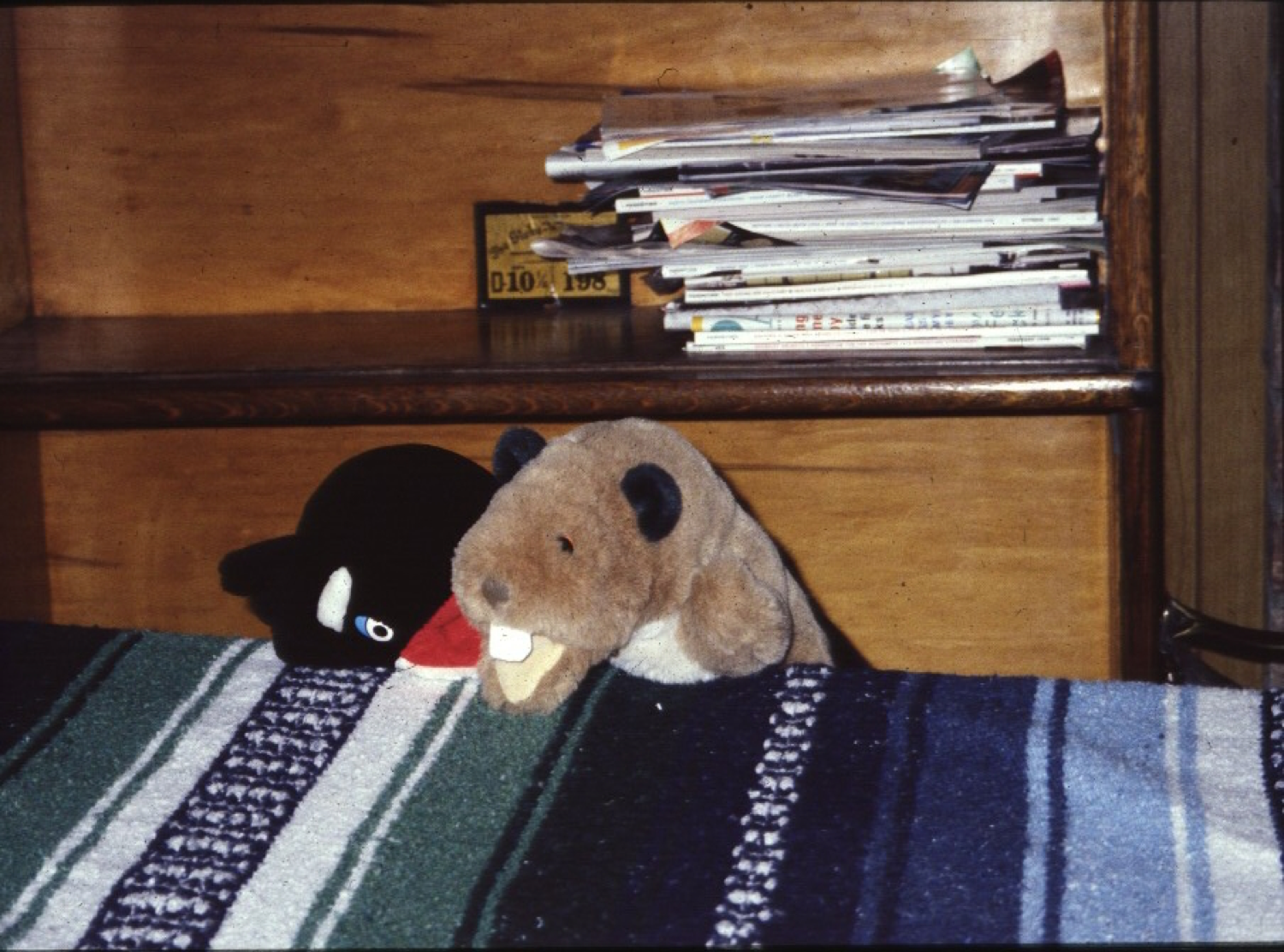 Two animal puppets acting out bullying behaviors