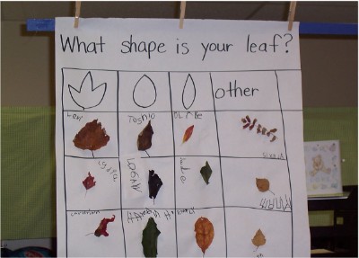 Example of documentation.