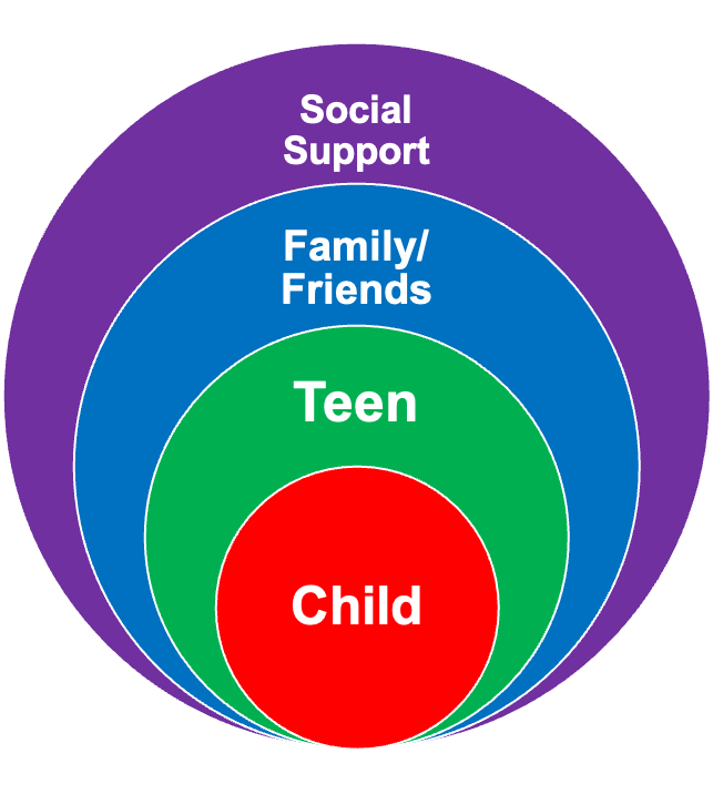 Bronfenbrenner's ecological system approach.