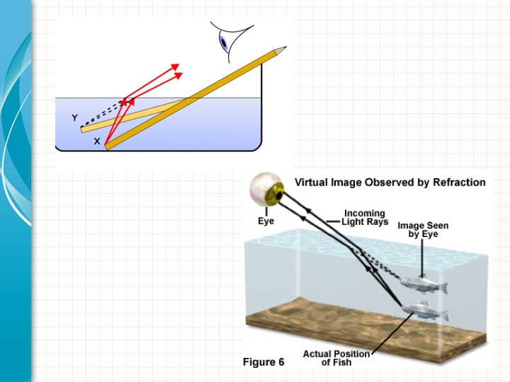 The altered positions of a pencil and a fish are shown with the impact of refraction.