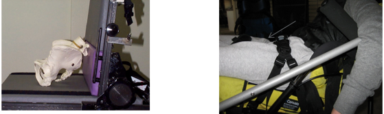 Two examples of posterior pelvic tilt, the first with an anatomical model of the pelvis and the second with an adult human.