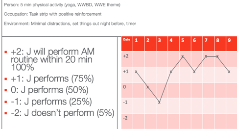 Goal Attainment Scale example for the case
