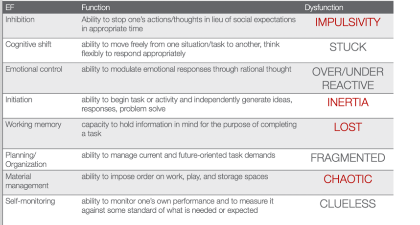 Overview of the components of executive function