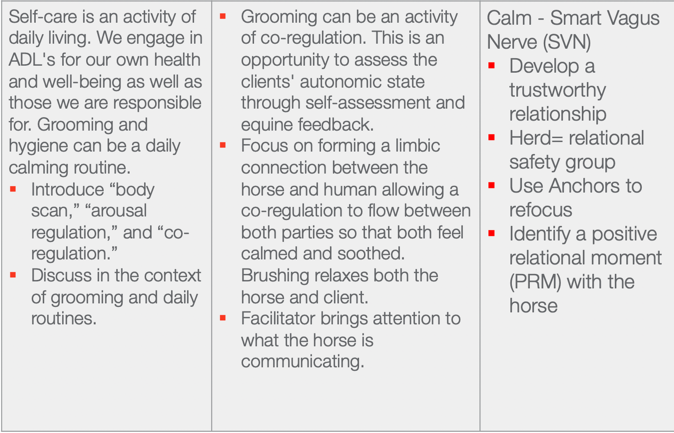 Chart of overview of horses and self care