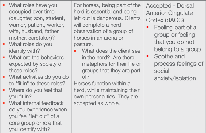Chart of overview of horses and relationship to habit, routines, and roles