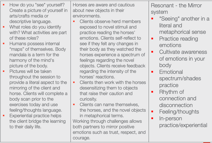 Chart with an overview of horses and performance skills