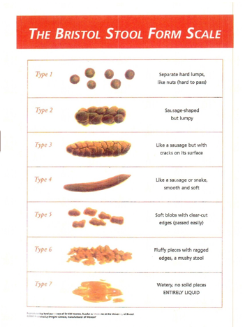 Bristol Stool Scale
