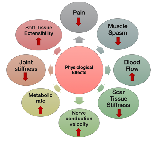 Physiological effects of ultrasound