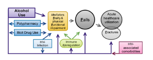 Conceptual model from HIV and falls study.