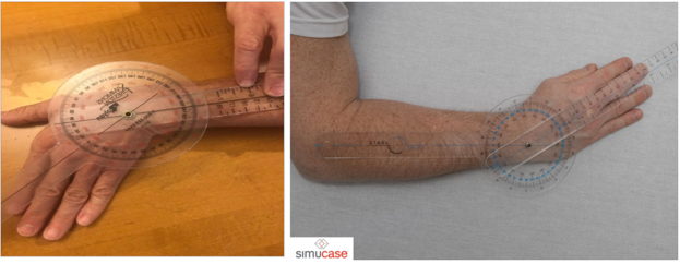 Wrist ulnar and radial deviation.