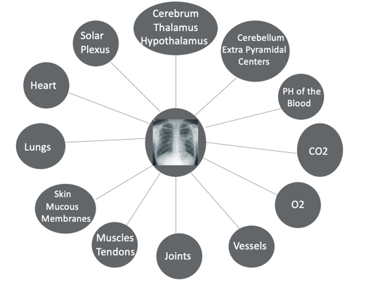 Example of things that breath impacts